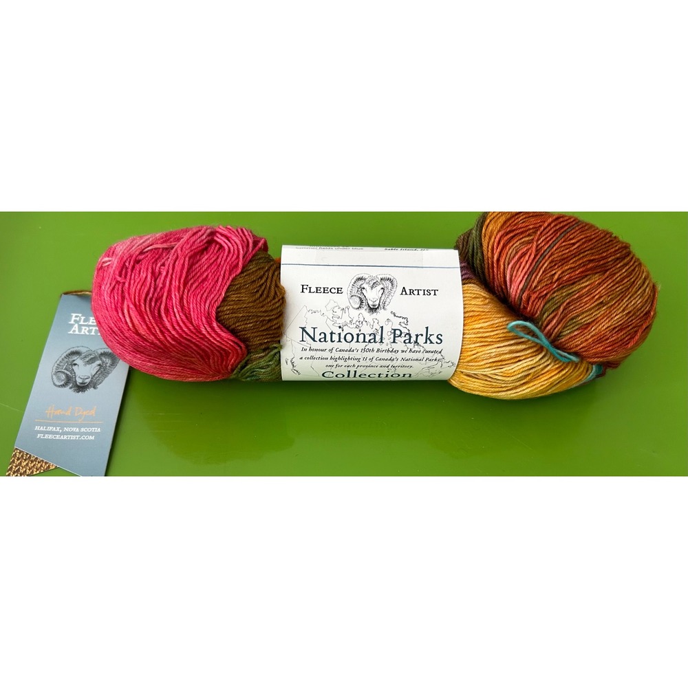Fleece Artist National Parks Festival Socks Yarn Thousand Islands 100g Hand Dyed